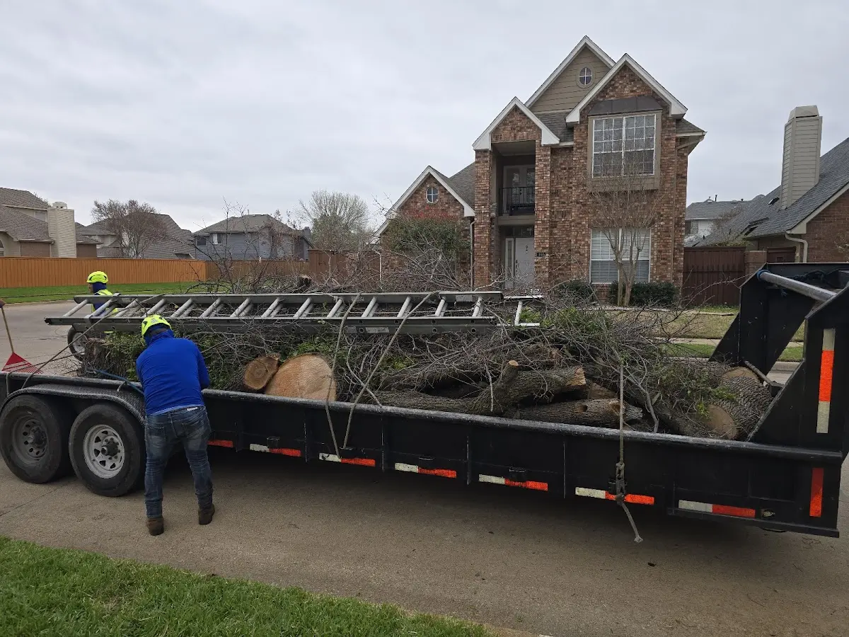 Expert Tree Removal with proper safety equipment in Slater